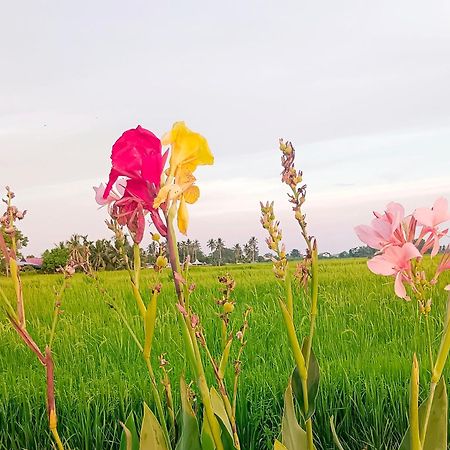 Kurau Inn Farmstay Kuala Kurau Εξωτερικό φωτογραφία