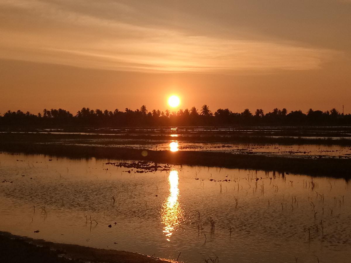 Kurau Inn Farmstay Kuala Kurau Εξωτερικό φωτογραφία